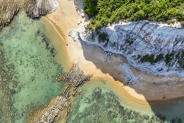 Beach in Brazil