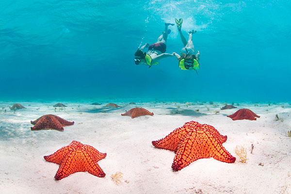 divers in Honduras