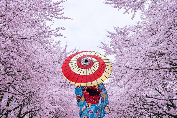 Kobe Japan
