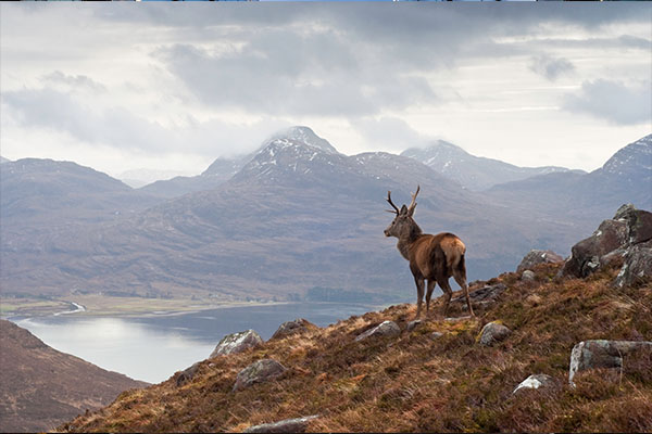 Scotland