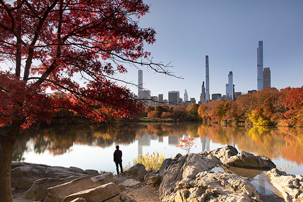 New York City, NY