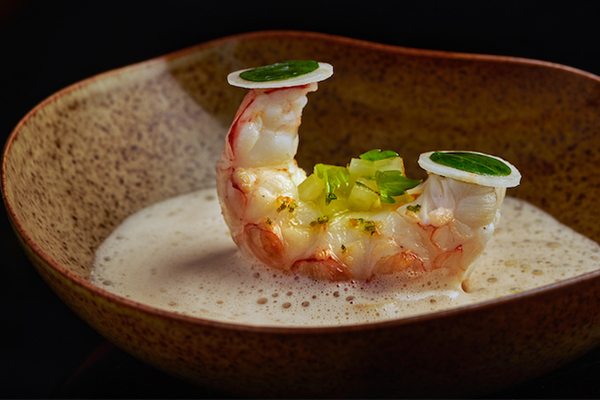 artfully plated dish