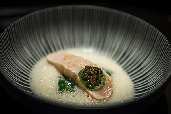 Appitizer in a bowl with cream sauce