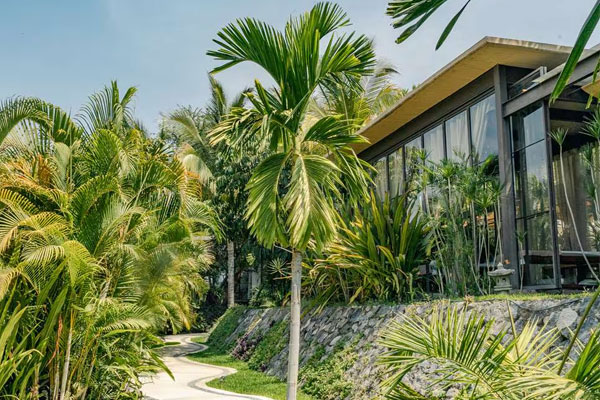 Soul Spring Sanctuary